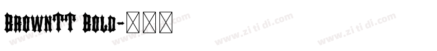 BrownTT Bold字体转换 BrownTT Bold字体转换